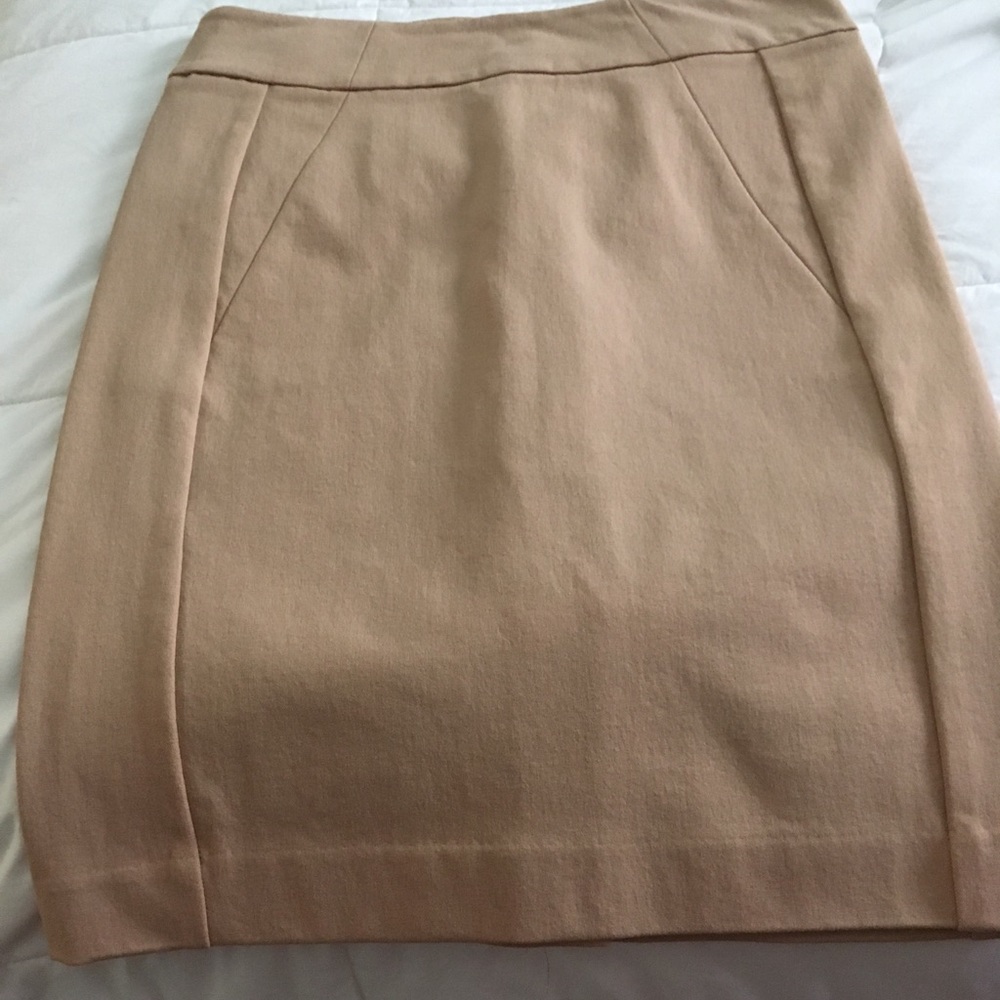 Ann Taylor beige Fall pencil skirt - size 4p